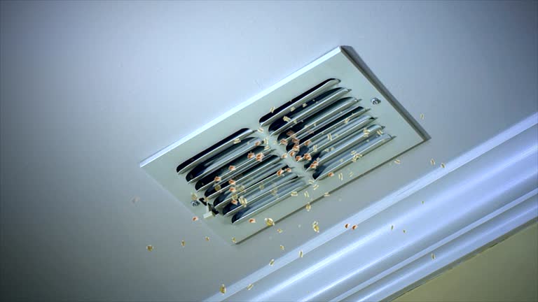Best Duct Cleaning for Homes  in Lake Stickney, WA