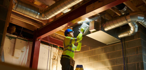 Air Duct Mold Removal in Lake Stickney, WA